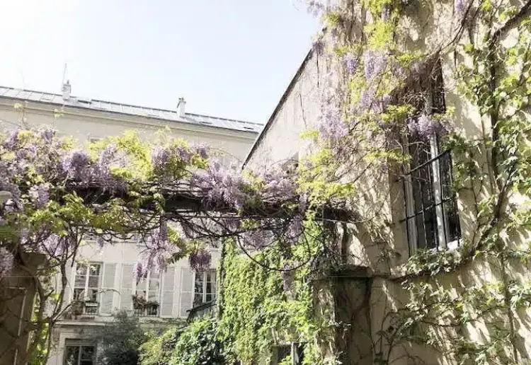 A Haven of Light and Calm in the Heart of the Marais