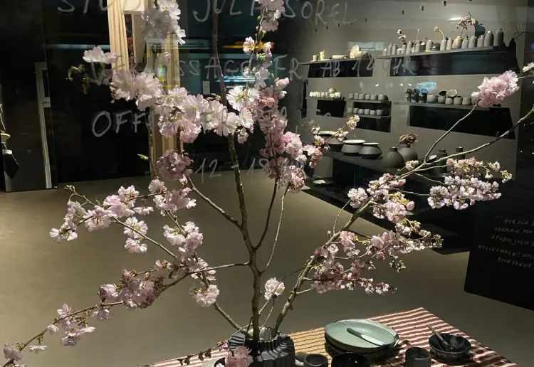POP UP auf Kastanienallee, Mitte Berlin