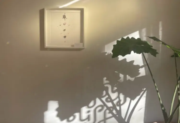 Serene 70 m² Sand-White Studio - Bright, Natural Space for Yoga, Workshops & Events