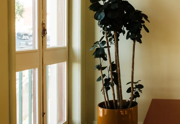 Studio Visits - Event Space for Meetings and Gatherings