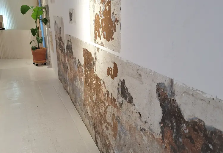 Espacio industrial en calle peatonal, Consell de Cent