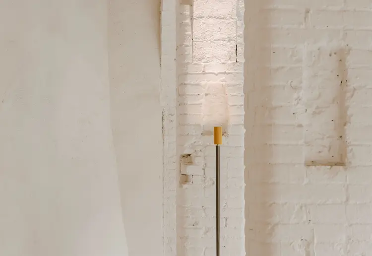 La Colonia -Studio Gallery-