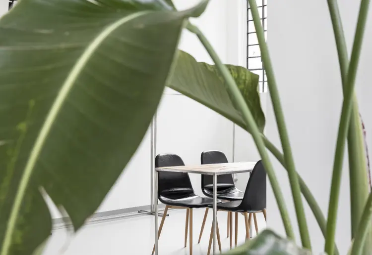 Elegant industrial style space