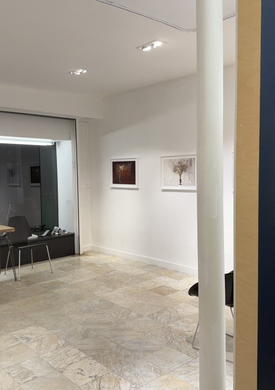 Charmante boutique haut marais