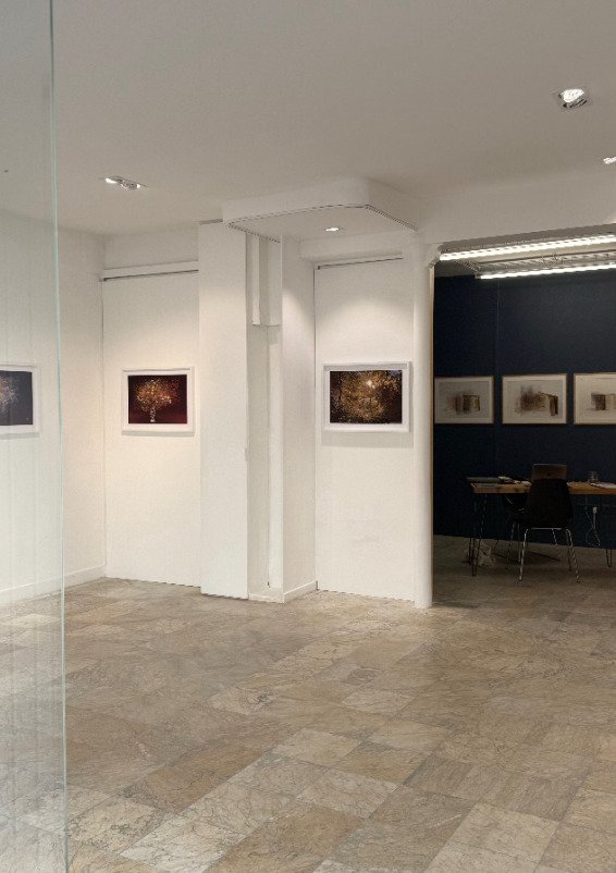 Charmante boutique haut marais