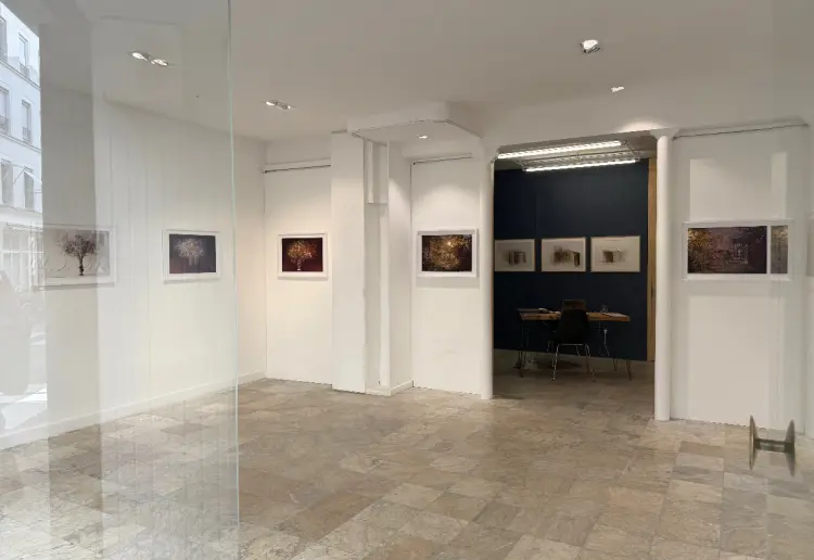 Charmante boutique haut marais