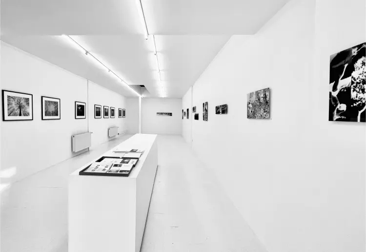 A premium art venue for brand activations, exhibitions, and creative product launches. 71m2