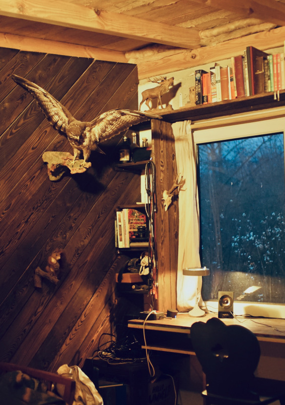 Cabin by the Woods