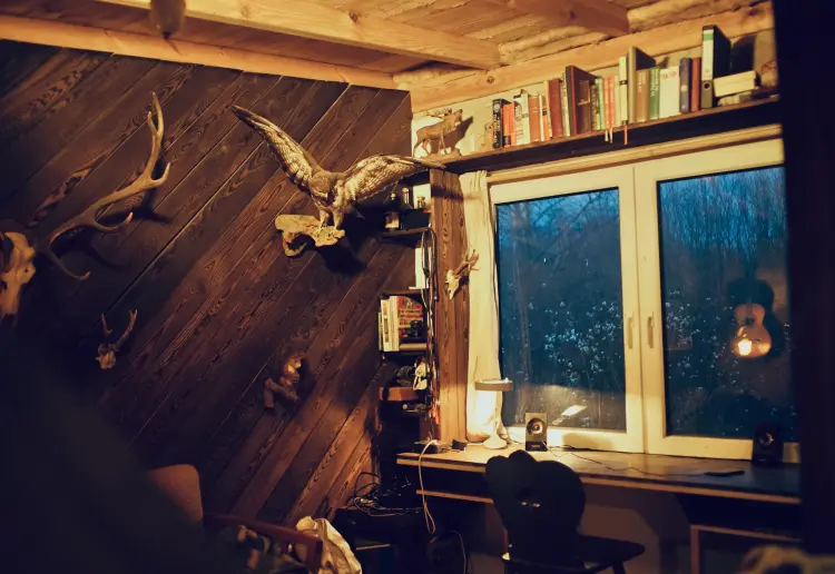 Cabin by the Woods