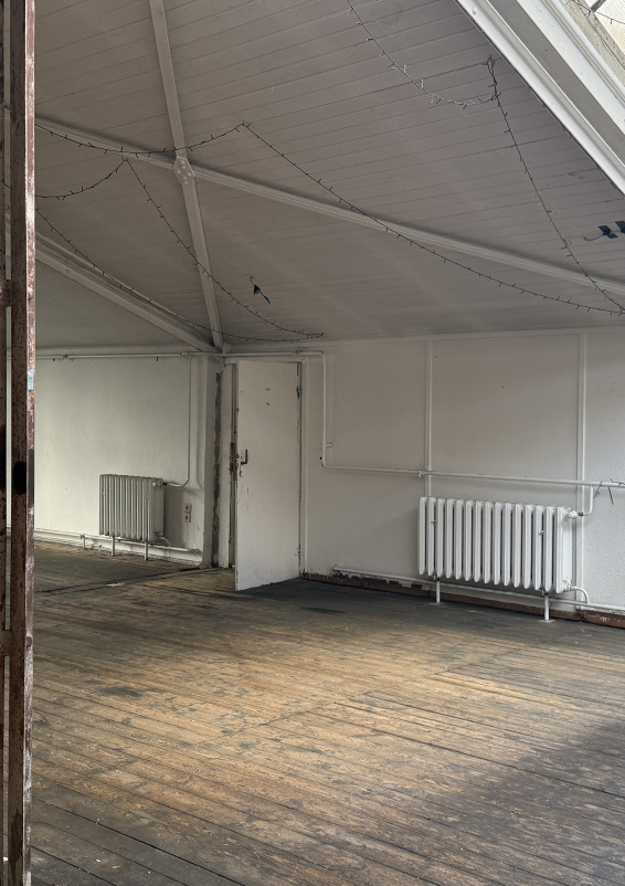 Industrial Loft