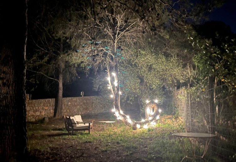 Jardín Árbol Caracol Barcelona