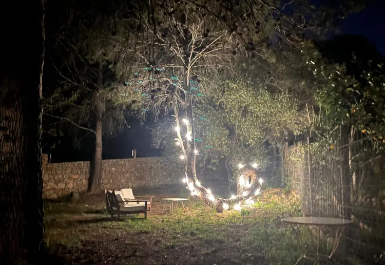 Jardín Árbol Caracol Barcelona