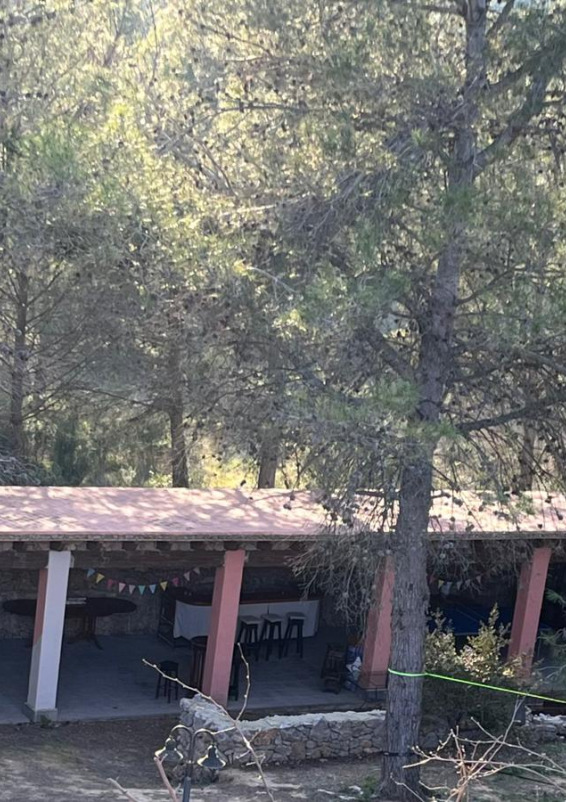 Jardín Árbol Caracol Barcelona
