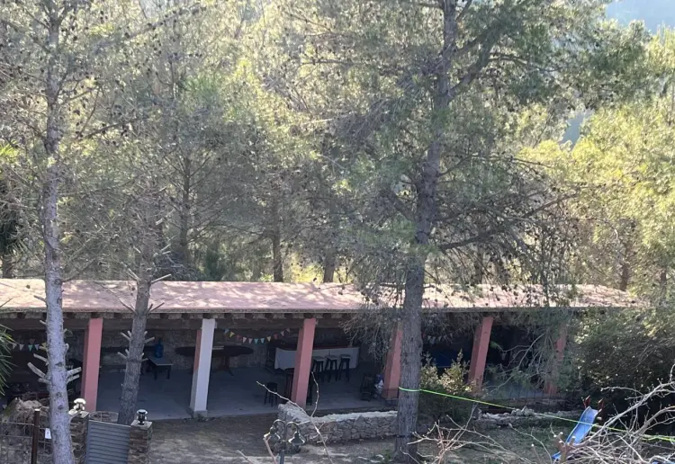 Jardín Árbol Caracol Barcelona