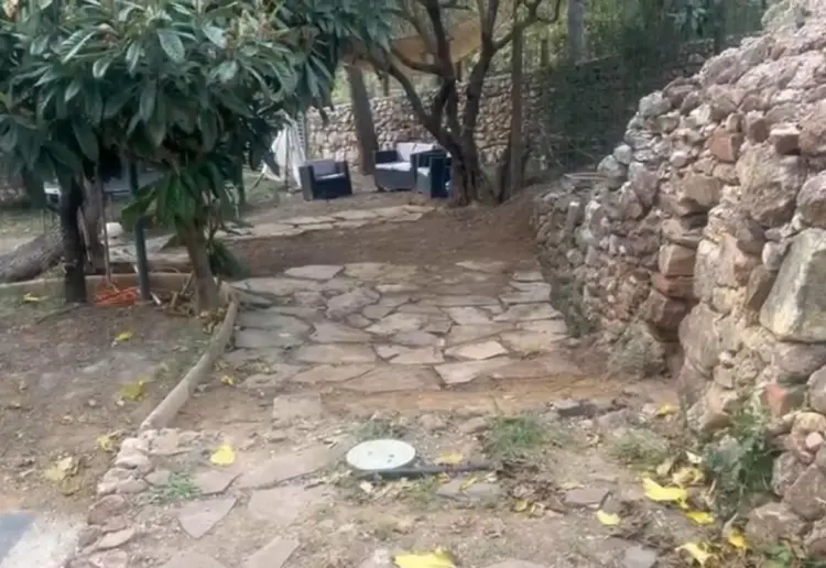 Jardín Árbol Caracol Barcelona
