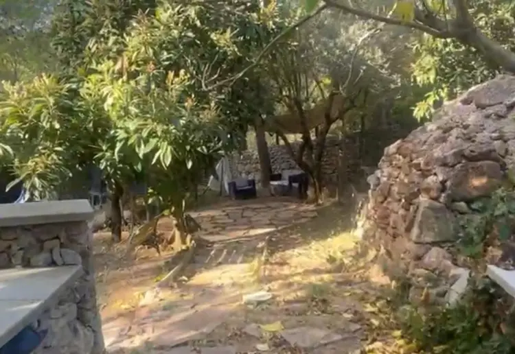 Jardín Árbol Caracol Barcelona