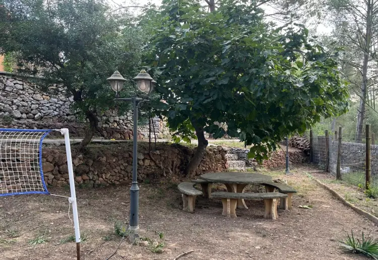 Jardín Árbol Caracol Barcelona
