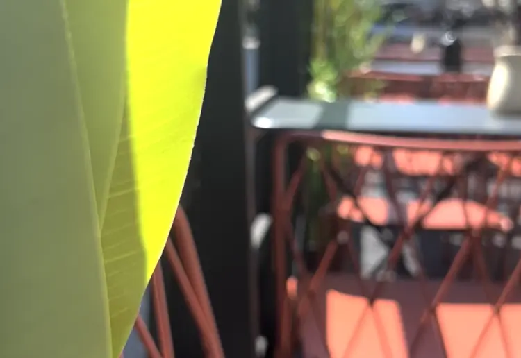 Lieu d'événements à Saint-Lazare : Traiteur, Ateliers & Location Privée