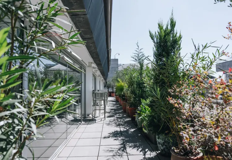 Espacio con Terraza 360º en el Centro de Madrid