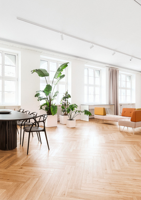 Lumo Studios