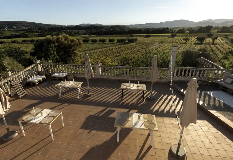 Masia Cal Julià. Vineyard Oasis: Luxury Terrace