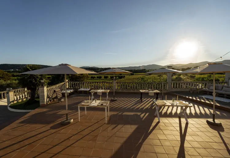 Masia Cal Julià. Vineyard Oasis: Luxury Terrace
