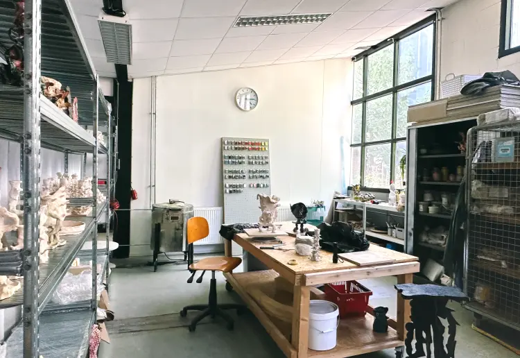 Stem Asmterdam