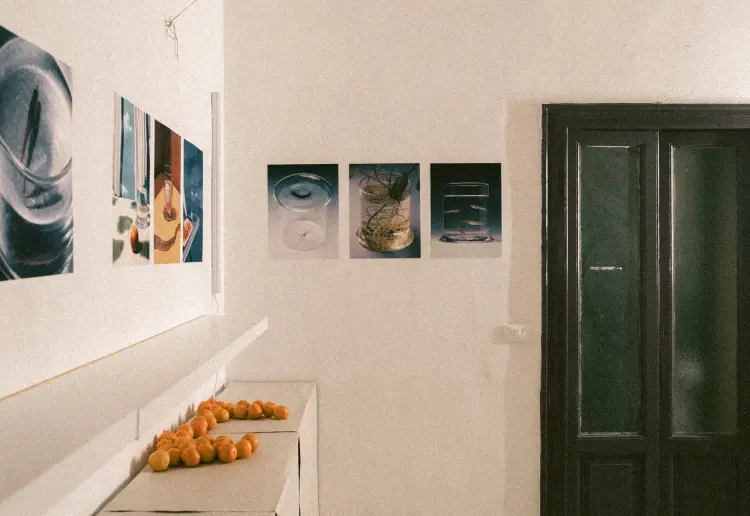 Street-Facing Exhibition Space in Milan