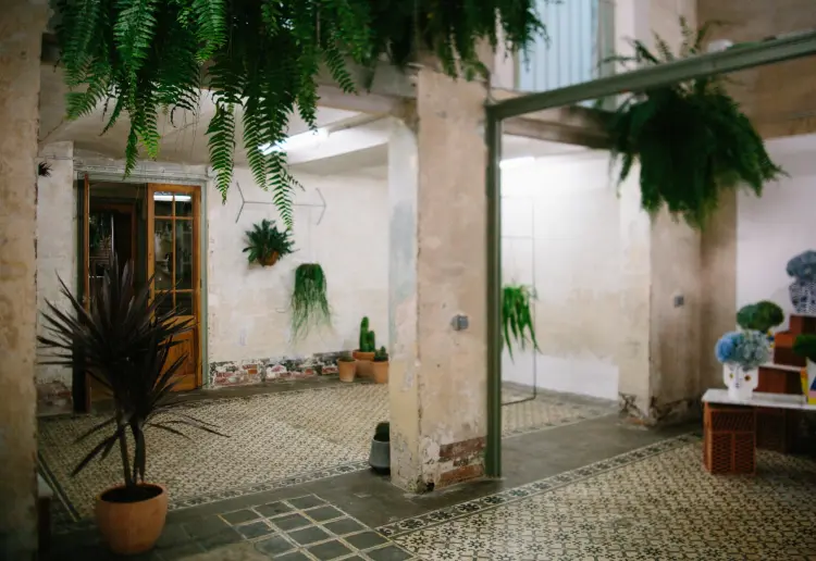 Estudio botánico