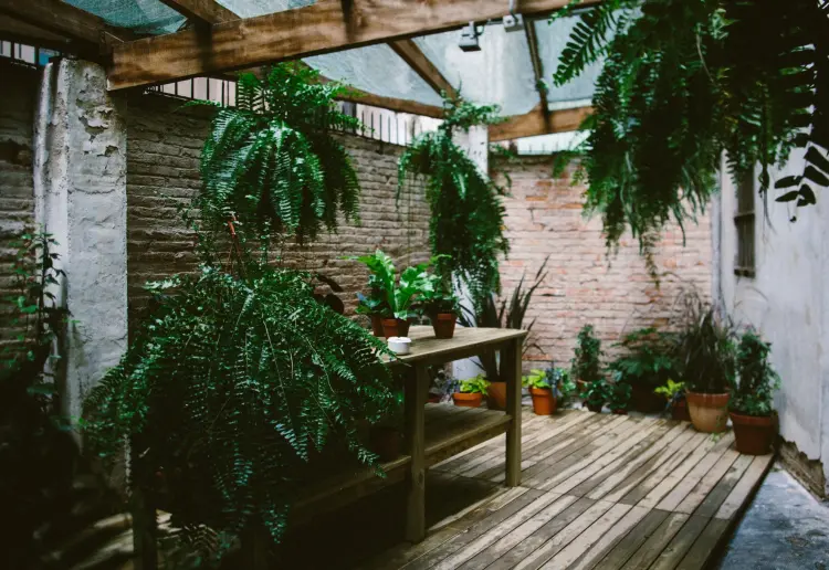 Estudio botánico
