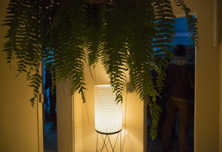 Estudio botánico