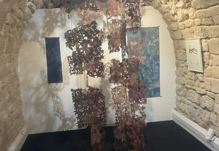 Art Gallery & Show-room @ St Germain des Près