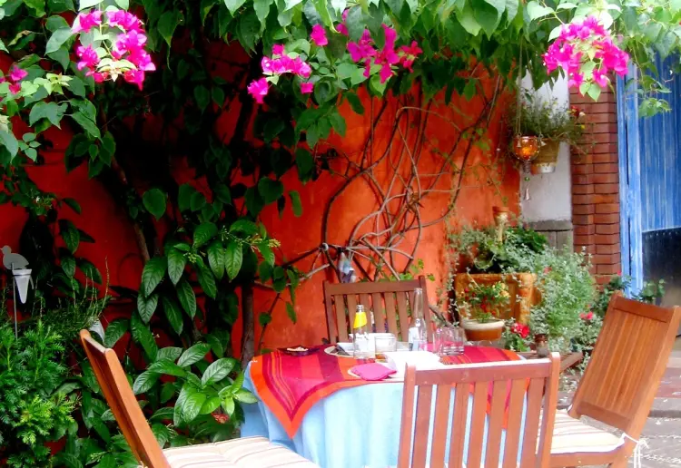 Jardín en Pleno centro de la Ciudad