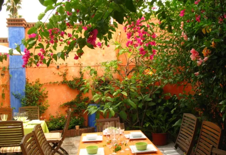 Jardín en Pleno centro de la Ciudad