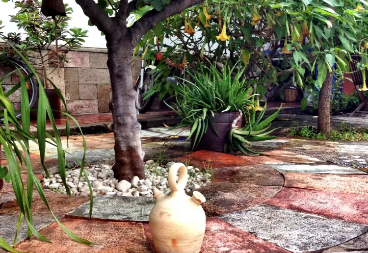 Jardín en Pleno centro de la Ciudad