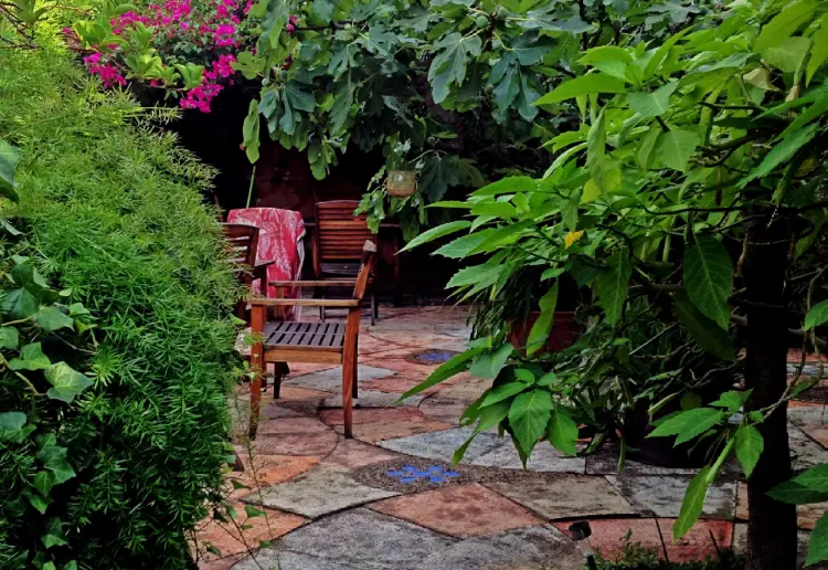 Jardín en Pleno centro de la Ciudad