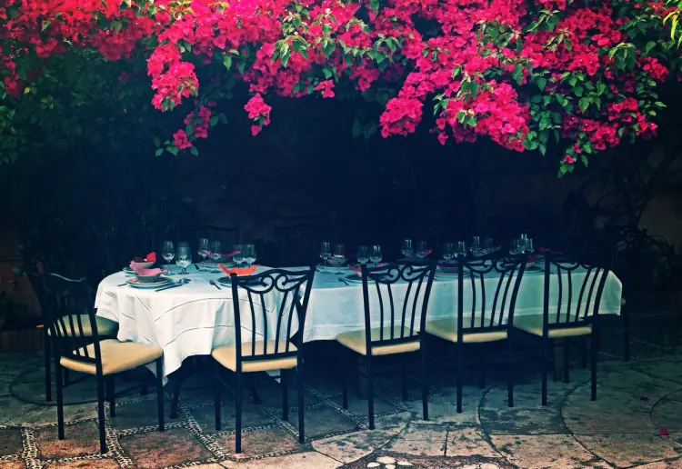 Jardín en Pleno centro de la Ciudad