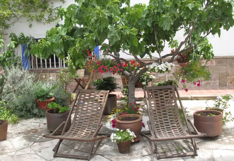 Jardín en Pleno centro de la Ciudad