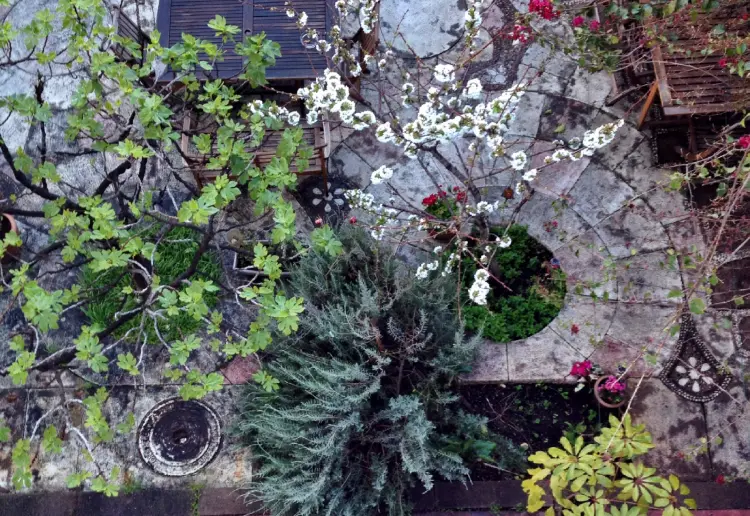 Jardín en Pleno centro de la Ciudad