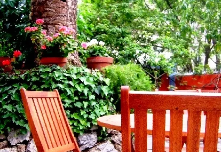 Jardín en Pleno centro de la Ciudad