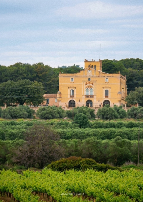 Masia Mas Martí