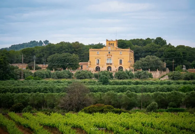 Masia Mas Martí