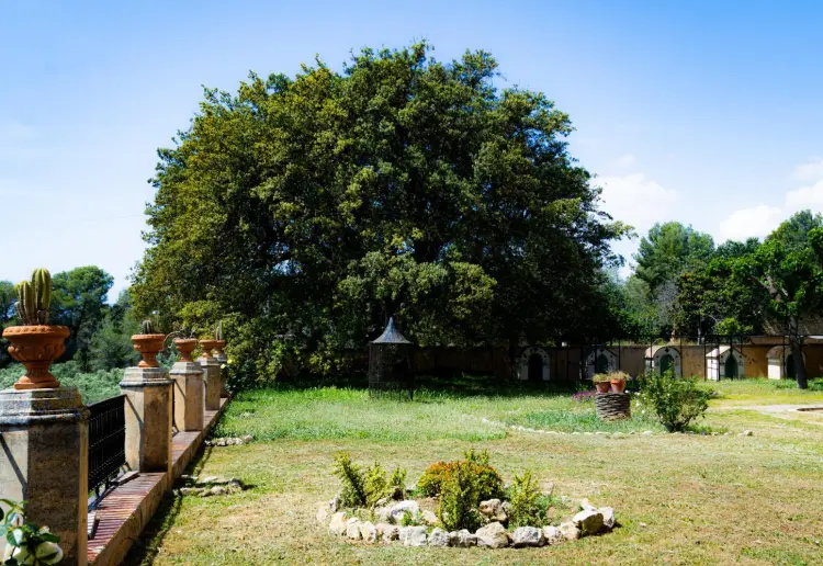 Masia Mas Martí