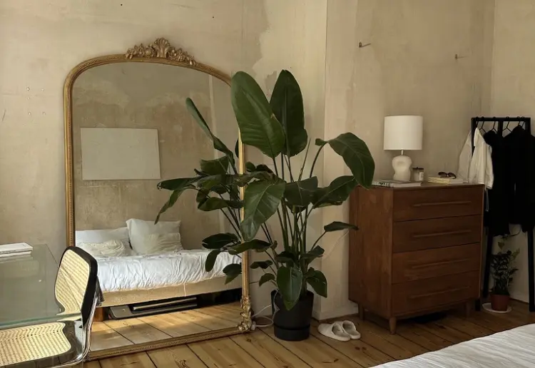 Mid Century Berlin Altbau