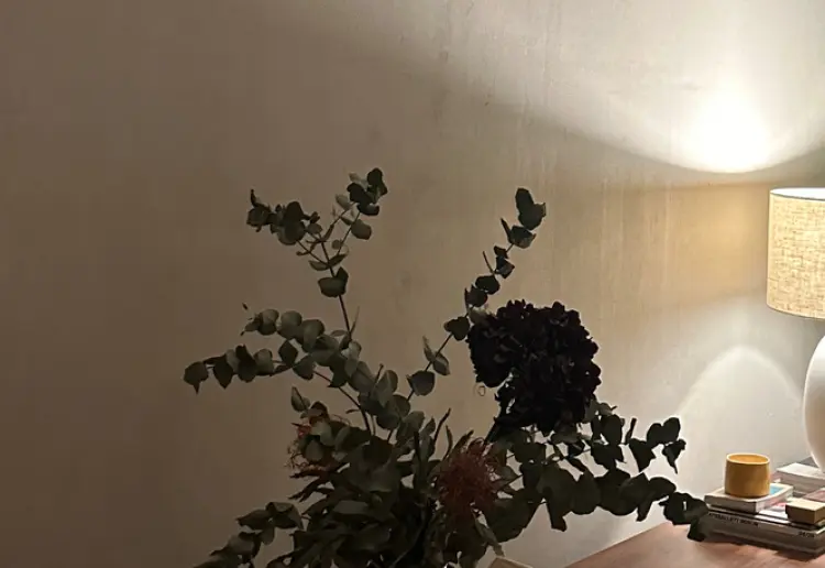 Mid Century Berlin Altbau