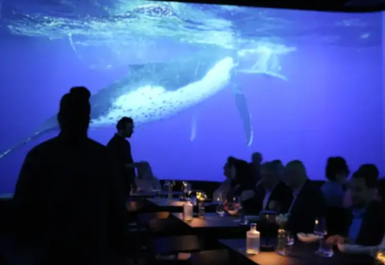 Atica - Immersive restaurant in central Paris